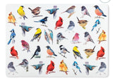 U at Home North American Birds Placemat