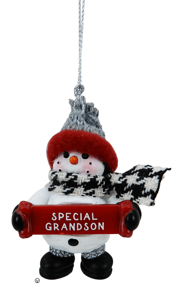 GANZ Ornament - Special Grandson