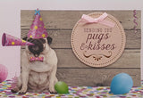 U at Home Birthday- Pug